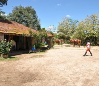  On horseback in the archaeological park of Rome